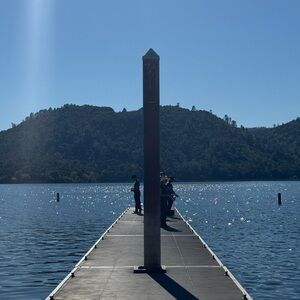 Helpful info about Luella bags